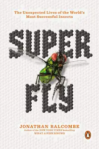 在飛比找誠品線上優惠-Super Fly: The Unexpected Live