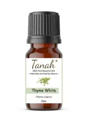 THYME (WHITE) Essential Oil (Thymus vulgaris) Tanah 100% Pure Aromatherapy Oils