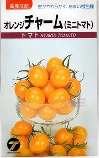 在飛比找Yahoo!奇摩拍賣優惠-【野菜部屋~】L36 日本金珍珠小蕃茄種子 100 顆 , 