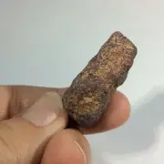 MeldedMind Rough Ruby Stick 1.38in Natural Red Gemstone Crystal 171221