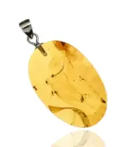 Swarm - Natural Burmese Amber Pendant with Fossil Inclusion Sterling Silver