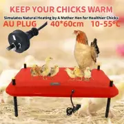 Chick Brooder Heating Plate 40*60CM Adjustable Chicken Coop Brooding Heater AU