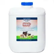 Dynavyte Equine Microbiome Support Healthy Gut Horse Supplement 5L