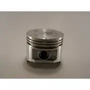 Austral Piston Set - PO550 STD