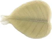100 Pcs Skeleton Natural Ficus Religiosa Leaves Artificial Leaves Craft Card Scrapbook DIY Handmade Embellishment Decoration Art