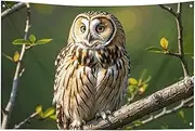 Art Decor Owl Tree Branches Flag with Four Holes Wall Decoration Banner Wall Flag for Dorm Room Bar Outdoor Party Flags 23.6x35.4 in