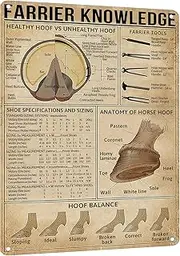 HYBLOM Farrier Knowledge Horse Hoof Anatomy Tin Sign - Educational Retro Metal Poster for Horse Lovers, Cowboy, Home, School, Farm, and Club Wall Decor, 12x16 Inches