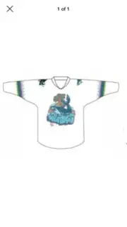 San Jose Sharks 2019 Medium Grafitti Sharks Shirsey Hockey Jersey SGA Girl MOBB