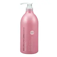 在飛比找PChome24h購物優惠-日本Salon link沙龍洗髮精(平衡保濕)1000ml