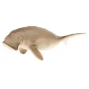 5. Model Animal Manatee Figure Children Educational Toy