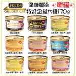 ✨單罐✨SEEDS 惜時 聖萊西 GOLDEN CAT 健康機能特級金貓大罐170G 貓罐頭★歐元小舖★