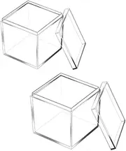 2 Pack Acrylic Square Cube,10x10x10 cm Clear Acrylic Plastic Square Cube Small Acrylic Box with Lid Storage Mini Acrylic Boxes Square Display Box Organizer Containers for Candy Jewelry Display