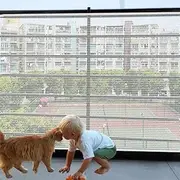 Banister Guard-6.5ft X 3ft Thick Balcony Safety Net for Kids Pet Balcony Guard Balcony Netting for Pets Rail Net for Balcony Apartment Cat Netting Safety Netting for Railings Stair Guard White