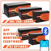 12V 100Ah 200Ah Lithium Iron Phosphate Battery LiFePO4 Camping Rechargeable RV