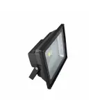 【燈王的店】LED 30W 泛光型戶外投射燈 全電壓 白光6000K/暖白光3000K TYL812B-30W