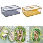 Plastic Bread Container Sealed Food Storage Container Large Capacity