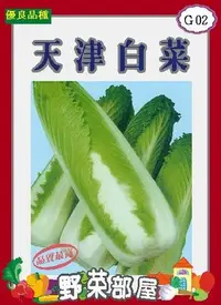 在飛比找Yahoo!奇摩拍賣優惠-【野菜部屋~】G02日本天津白菜種子0.65公克 , 長型竹