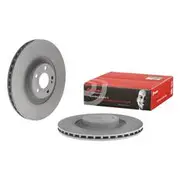 Brembo Prime Solid Co-Cast Brake Rotor - Single - 09.D532.13