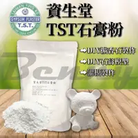 在飛比找蝦皮購物優惠-資生堂 TST石膏粉 TST石膏粉900g TST 石膏粉