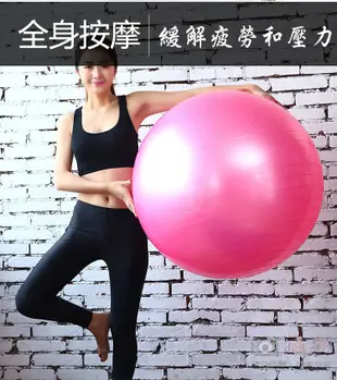 瑜珈球 直徑65cm 瑜珈韻律球 (5.1折)