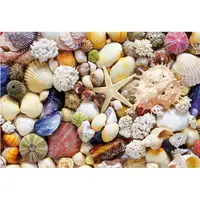 在飛比找蝦皮購物優惠-日本進口 貝殼 世界最小片拼圖 1053片拼圖
