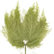Blooms of Joy 40cm Green Mountain Fern 10 Piece