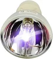 iReijomoi Replacement Lamp SP.8VH01GC01 BL-FP190E SP.73701GC01 Bare Bulb for OPTOMA HD141X/EH200ST/GT1080/HD26/S316/X316/W316/DX346/BR323/BR326/DH1009/DH1008/DS340E/DS345 Projectors