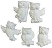 SMALL OWL Ceramic Bisque Pieces (5pc)Birds•Nocturnal•Birds of Prey•READY 2 PAINT