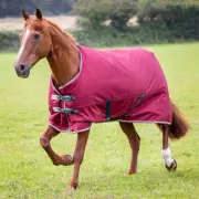 Shires Equestrian Shires Tempest Original 200G Turnout Blanket