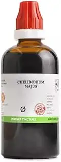 Chelidonium Majus 1X (Q) (100ml) - by (KG Kart)