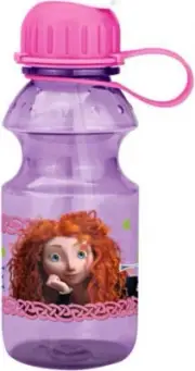 Disney / Pixar Brave 14oz. Tritan Hydrocanteen
