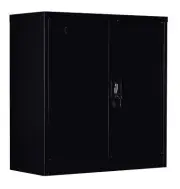 NNEDSZ Shelf Office Gym Filing Storage Locker Cabinet Safe