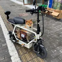 在飛比找蝦皮購物優惠-[現貨速發部分價}柏克小型電動車女親子款帶娃接送孩子電瓶車遛