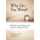 Why Do You Weep?: Finding Consolation and Peace in Times of Grief