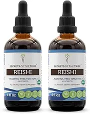 Reishi Tincture Alcohol-Free Liquid Extract, Organic Reishi Mushroom (Ganoderma Lucidum) (2x4 FL OZ)