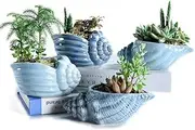 Sun-E 13.5CM Blue Conch Ocean Series Ceramic Base Serial Set Succulent Plant Pot Cactus Plant Pot Flower Pot Container Planter with Drainage Hole Gift Idea 4 in Set(Plants Not Included)