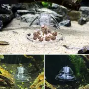 Snail Trap Catcher Aquarium Planarian Leech Shrimp Worm Catcher Box