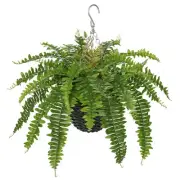 25" Artificial Boston Fern Hanging Basket 31 Leaves Fake Ferns in Rattan Pot ...