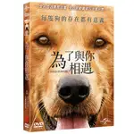 為了與你相遇 A DOG'S PURPOSE (DVD)