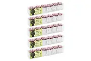 30pc Lemon & Lime 30ml Mini Toscana Air-Tight Glass Jars w Screw Top Lid Red
