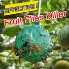 Lot Hanging Ball Sticky Fly Traps Gnat Trap Wasp Trap Flies Insect Bug Catcher