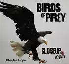 Birds of Prey: Closeup by Charles Hope (English) Paperback Book