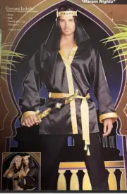 Arabian Harem Nights Adult Men Costume XXL