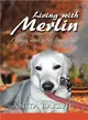 Living With Merlin ─ Coping With Grief , Living Life