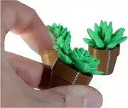 Spinny Succulent | Spinning Fidget Toy | Fun Desk Decor | Aussie Made (Rosette)