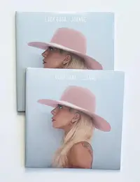 在飛比找Yahoo!奇摩拍賣優惠-【二手】 【現貨】Lady Gaga Joanne 黑膠唱片