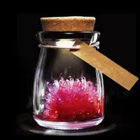 在飛比找ETMall東森購物網優惠-魔法自種許愿水晶種植生長刺猬水晶花結晶實驗科學玩具創意小禮物
