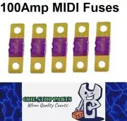 5 x 100A MIDI Fuses ANS 100 Amp Fuses 41mm x 12mm 4wd Caravan Truck Fuses 5pcs