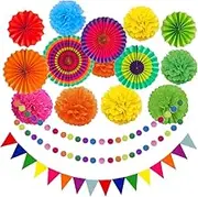 CAASFOOY Party Decoration, Pom Poms Flowers, Garlands String Polka Dot and Triangle Bunting Flags for Birthday Parties, Multi-Color Hanging Paper Ceiling and Party Decorations Backdrop Flowers