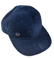 Patagonia Hat Cap Fitz Roy Icon Corduroy Adjustable Blue Hiking Trails Brand New